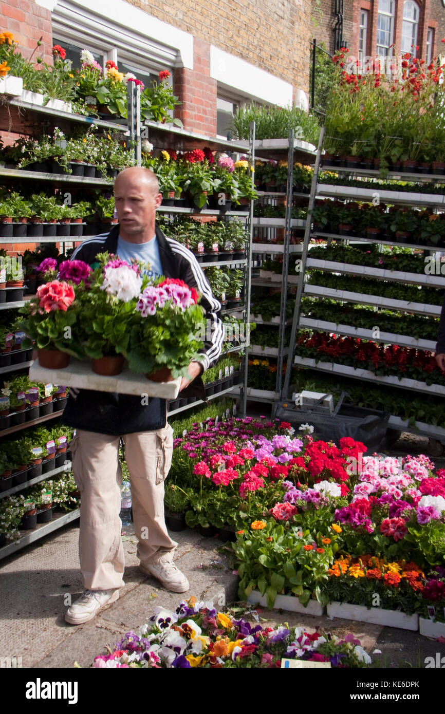 Mann verkauf von Beetpflanzen, Columbia Road Blumenmarkt, London E2 Stockfoto