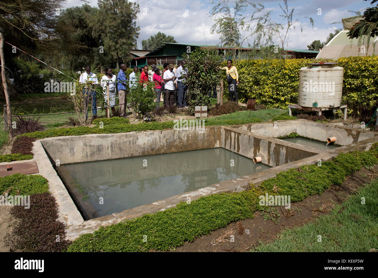 Afrikanische Lehrer beobachten Gartenbau Flower Farm künstlich gebautes Feuchtgebiet Naivasha Kenia Stockfoto