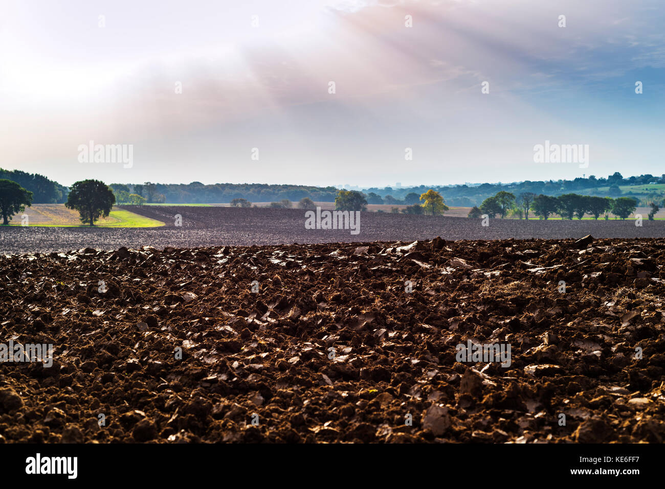 Bebautes Feld und die umliegende Landschaft, Landwirtschaft, Ackerland, Pflügte. Stockfoto