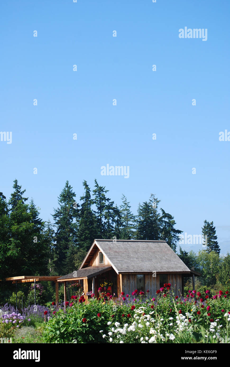 Blumenfarm Stockfoto