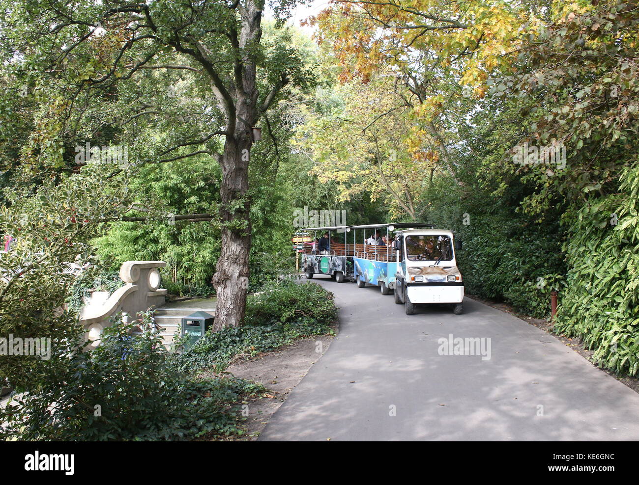 Zoo Blijdorp in Rotterdam, Niederlande. Entlang Reiten im Zug - genannt: die RET-Dschungel Express - Pendeln Leute hin und her zwischen den Eingängen. Stockfoto