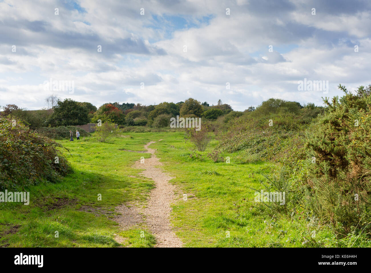 Sonnigen Nachmittag im Herbst auf Turbary gemeinsame Naturschutzgebiet, Dorset, Großbritannien, einer Gegend beliebt bei Hund Wanderer Stockfoto
