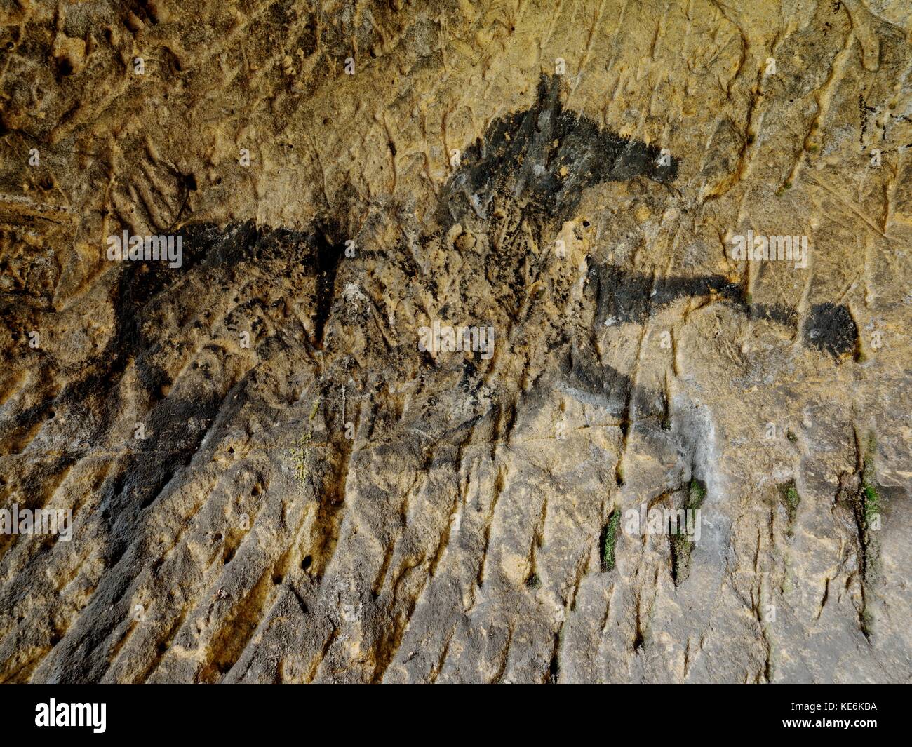 Entdeckung der prähistorischen Farbe des Pferdes in der Sandsteinhöhle