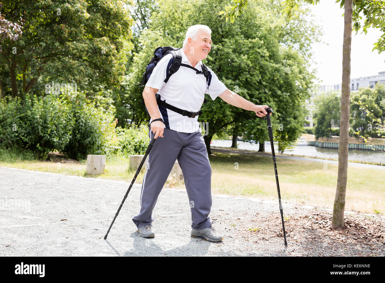 Portrait eines älteren männlichen Wanderer mit Wandern der Pole Stockfoto