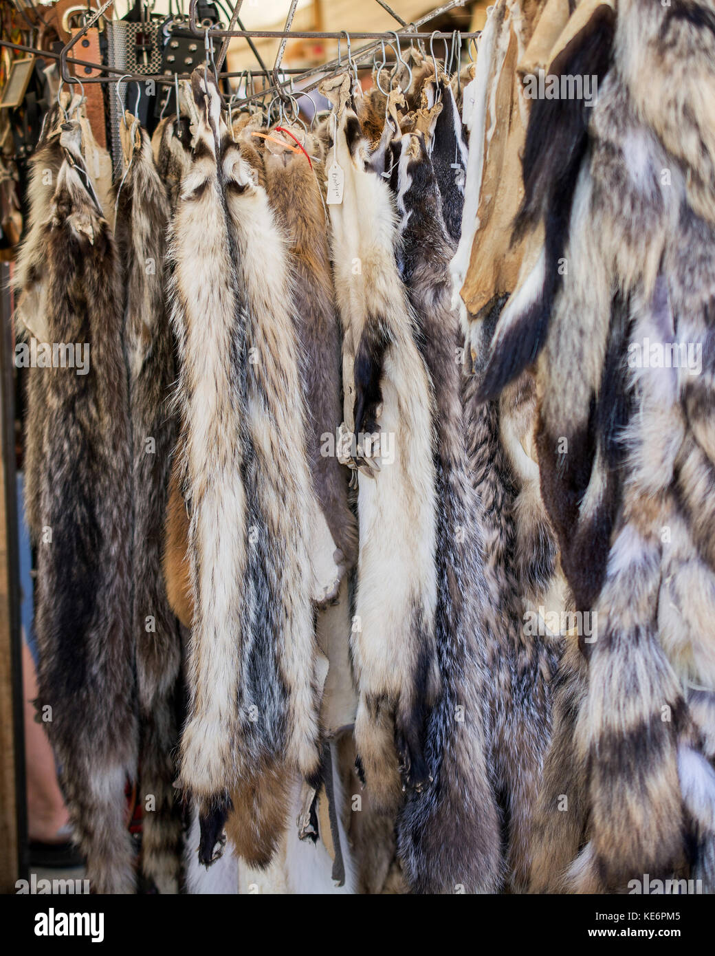 Dachs und Waschbär skins in einem Markt hängen, zum Verkauf - Vintage Kleidung Konzept Stockfoto