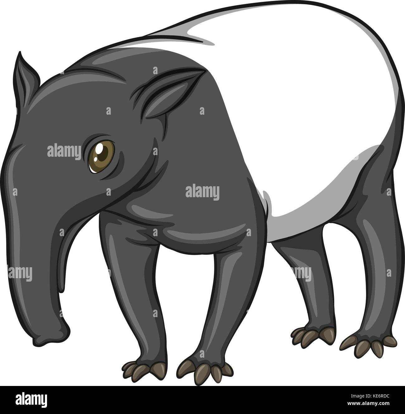 Abbildung: Tapir stehend Stock Vektor