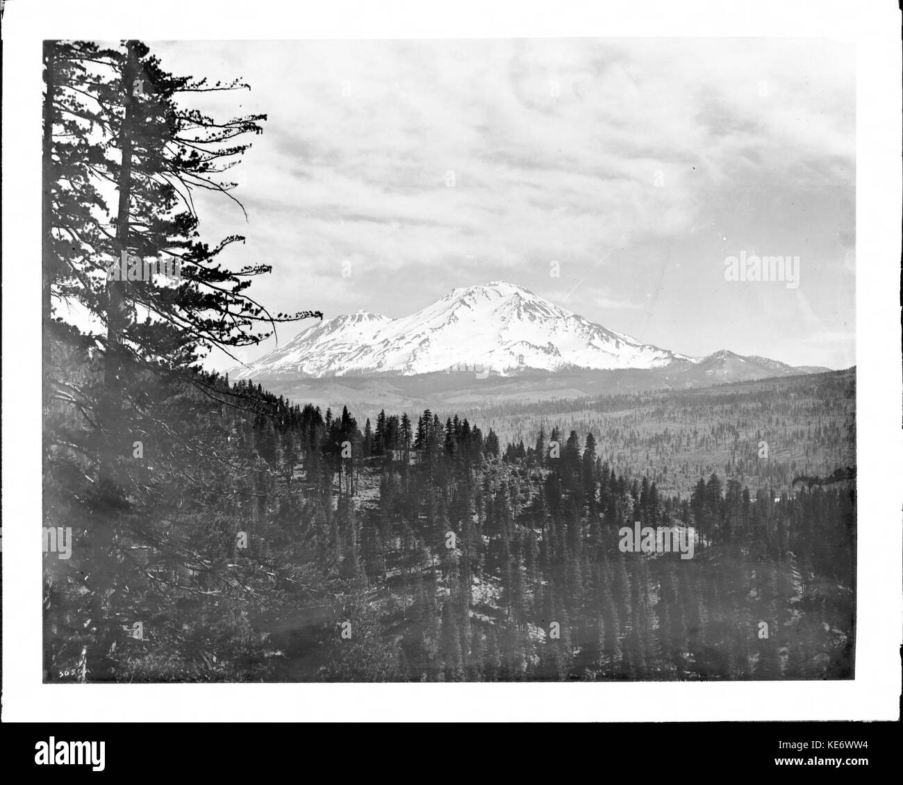 Aussicht auf die schneebedeckten Mount Shasta und benachbarten Berg Shastina, Siskiyou County, Ca. 1900 1940 (CHS 5080) Stockfoto