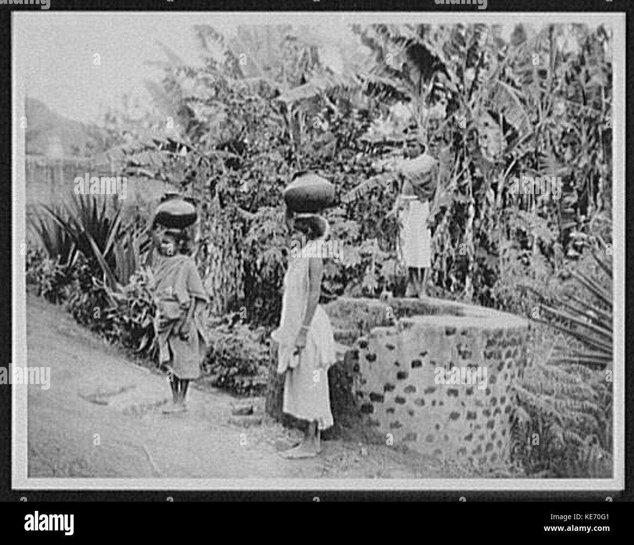 Zwei tamilische Frauen mit großen Töpfen auf ihre Köpfe an der Gut der Maria Watta Tee Immobilien LCCN 2004707309 Stockfoto