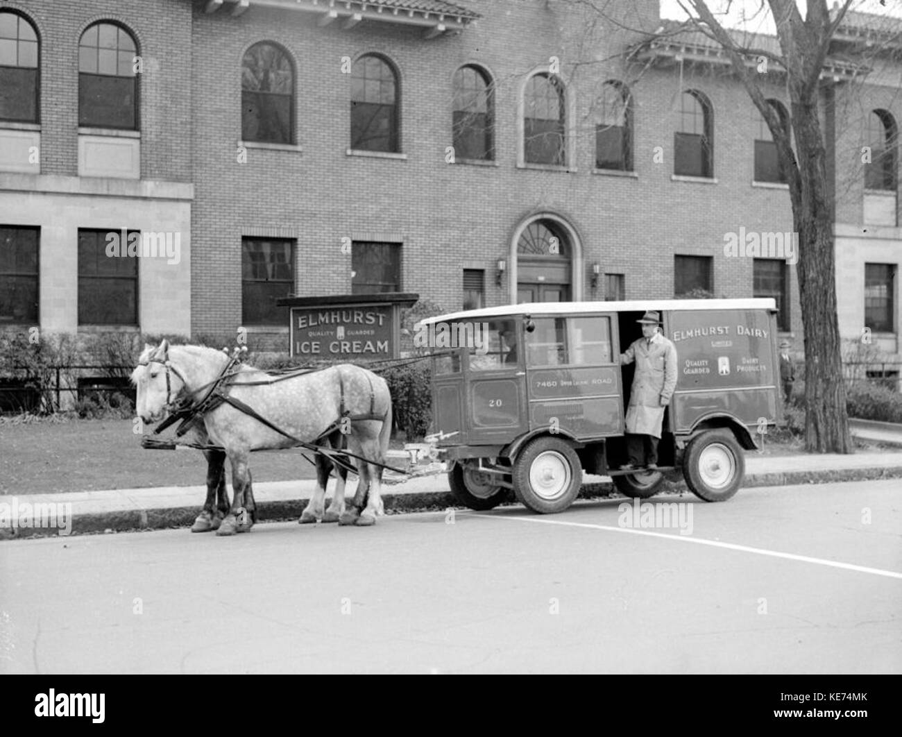 Kommerzielle. Elmhurst Molkerei BNQ P48 S1P 07599 Stockfoto