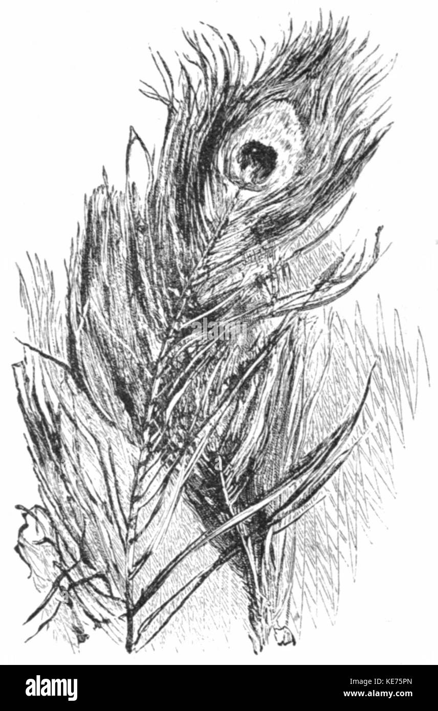 Die Gedichte von Richard Watson Gilder, 1908, Bild von DJVU-PG30 Stockfoto