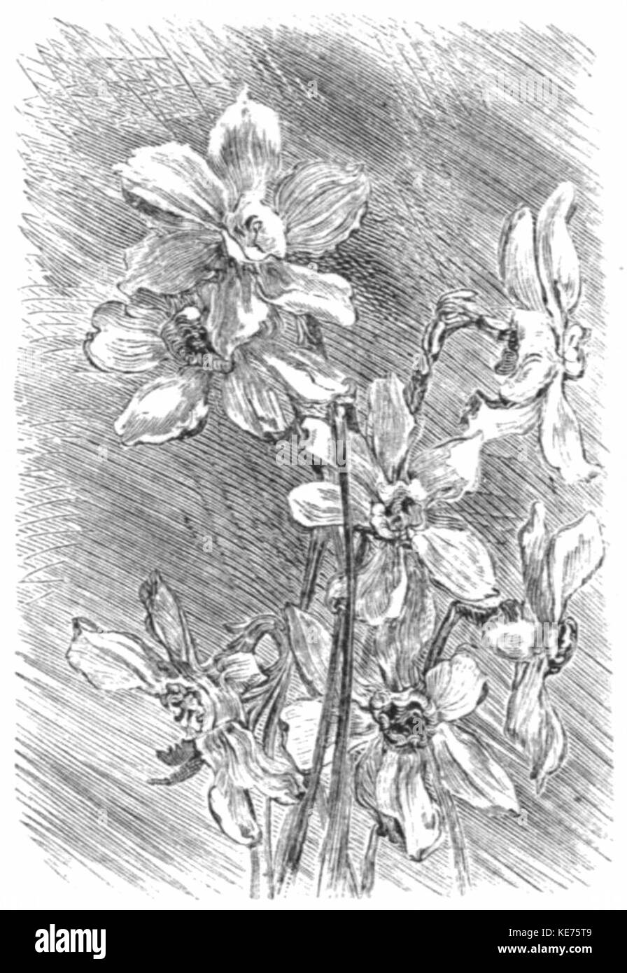 Die Gedichte von Richard Watson Gilder, 1908, Bild von DJVU-pg458 Stockfoto