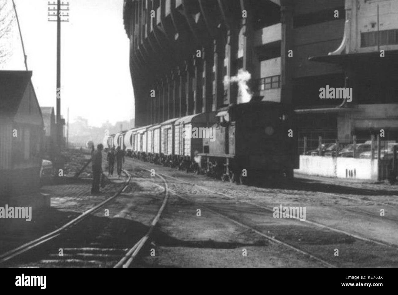 Eine allgemeine Entrando Braun Stockfoto