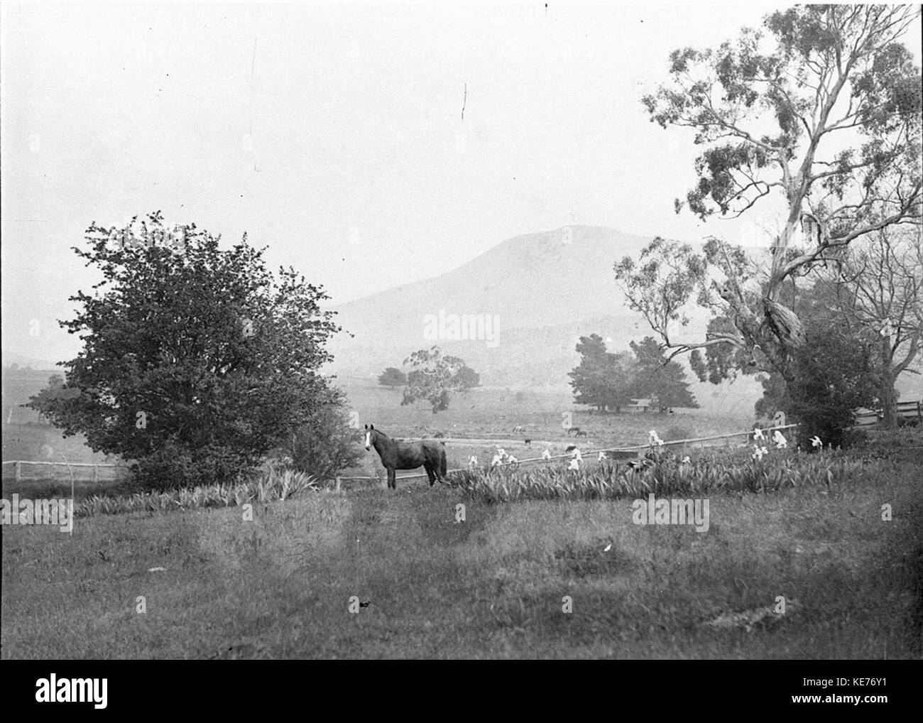 44284 einer ländlichen Szene in der Nähe von Yass Stockfoto 44284 einer ländlichen Szene in der Nähe von Yass Stockfoto