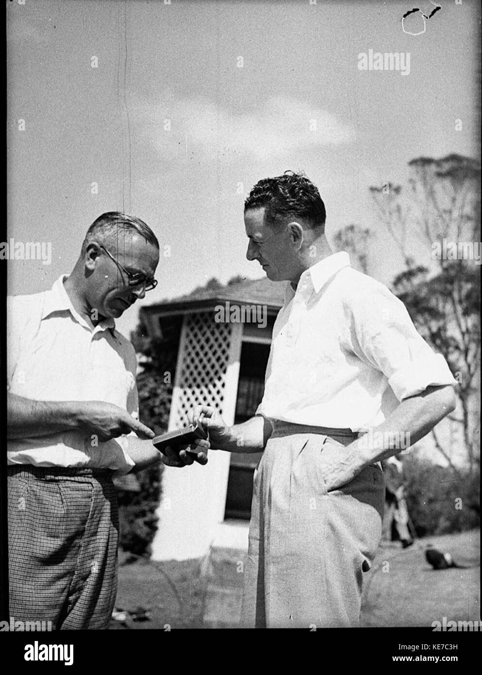 20644 Drucker Golf an der Manly Stockfoto