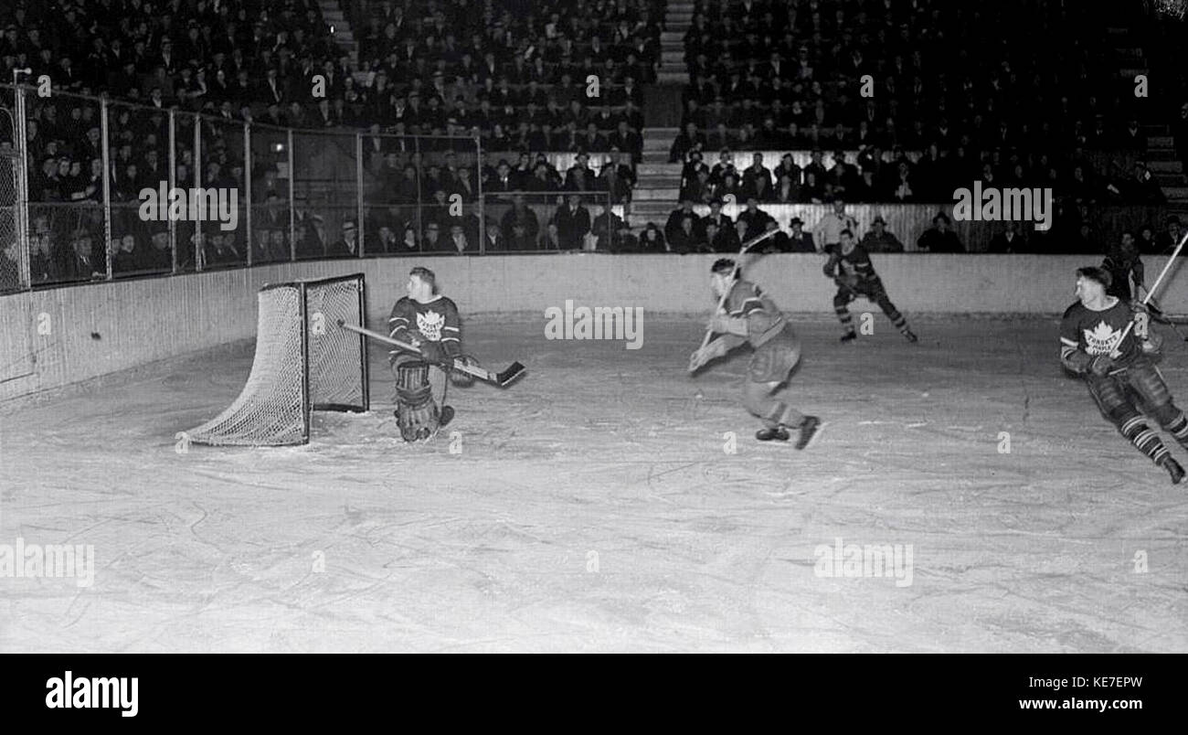 HabsvLeafs 2 Stockfoto