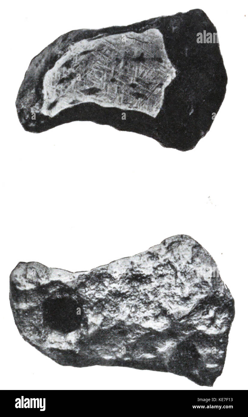 Die Entwicklung der Welten 0065 Stockfoto