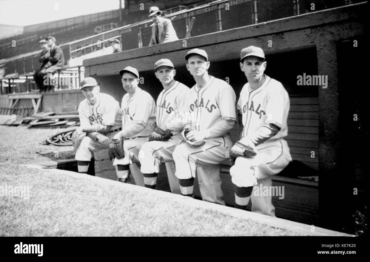 Baseball. Royals im Stadion BNQ P48 S1P 02093 Stockfoto