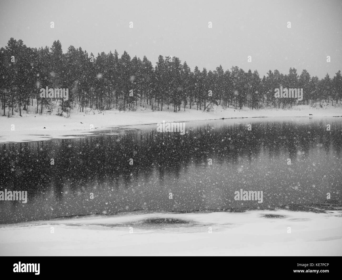 Schneefall über einen See im Winter; Arjeplog, Norrbotten County, Schweden Stockfoto