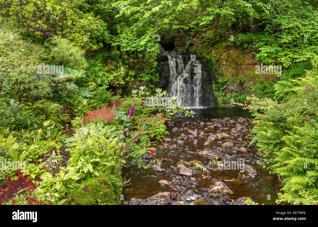Das Wasser Garten bei Dunvegan Castle, Sitz des Clans MacLeod, Isle of Skye, Highland, Schottland, UK Stockfoto