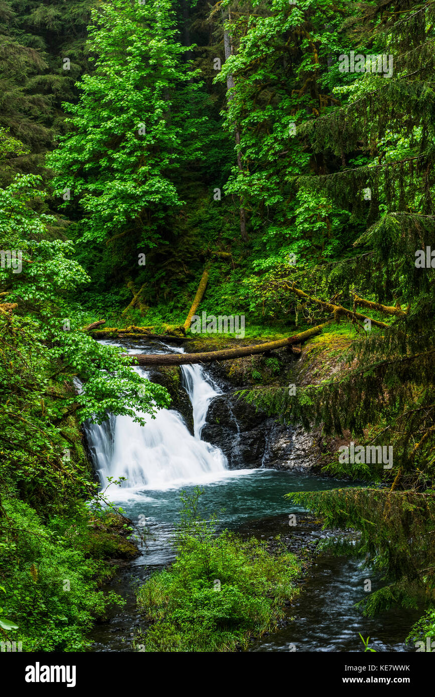 Twin Falls, einer der kleineren Wasserfälle bei Silver Falls State Park, Silverton, Oregon, Vereinigte Staaten von Amerika Stockfoto