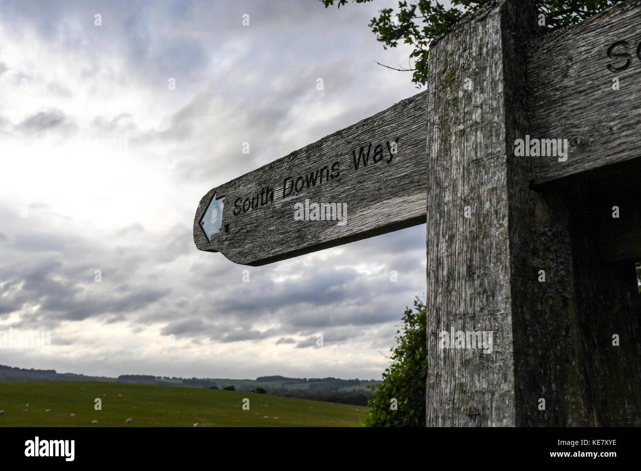 Holz- Schilder markieren die South Downs Way National Park Trail von Winchester zu Eastbourne England Stockfoto