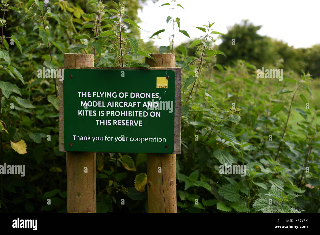 Ein Zeichen Warnung, dass Drohnen und Modell Flugzeuge, die in diesem Bereich auf der South Downs National Park verboten sind, läuft von Winchester zu Eastbourne. Stockfoto