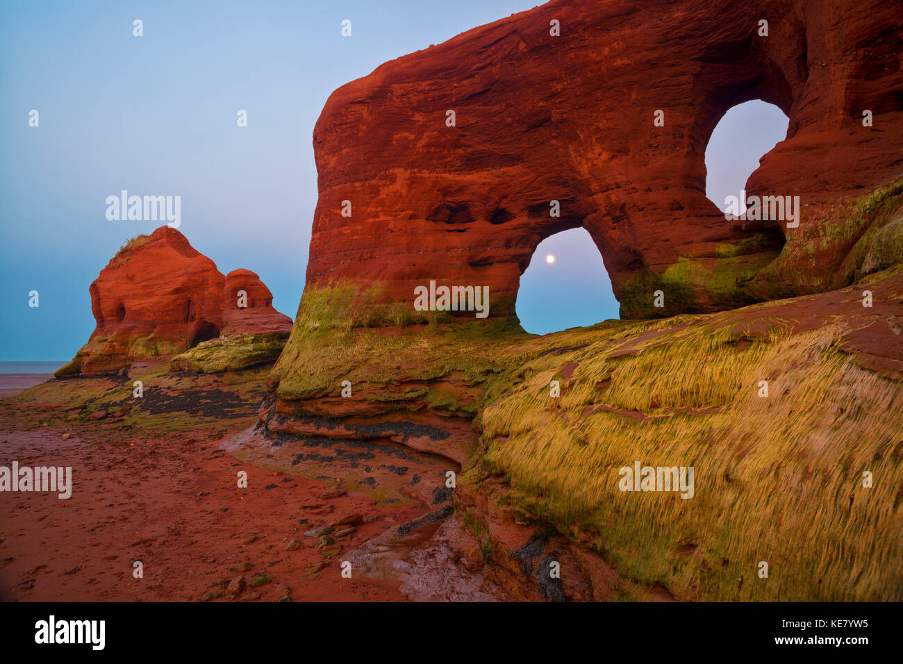 Coastal sea Stacks, Marsh Grass und eine steigende Vollmond in der Dämmerung bei Ebbe entlang des Minas Basin; North Medford, Nova Scotia, Kanada Stockfoto