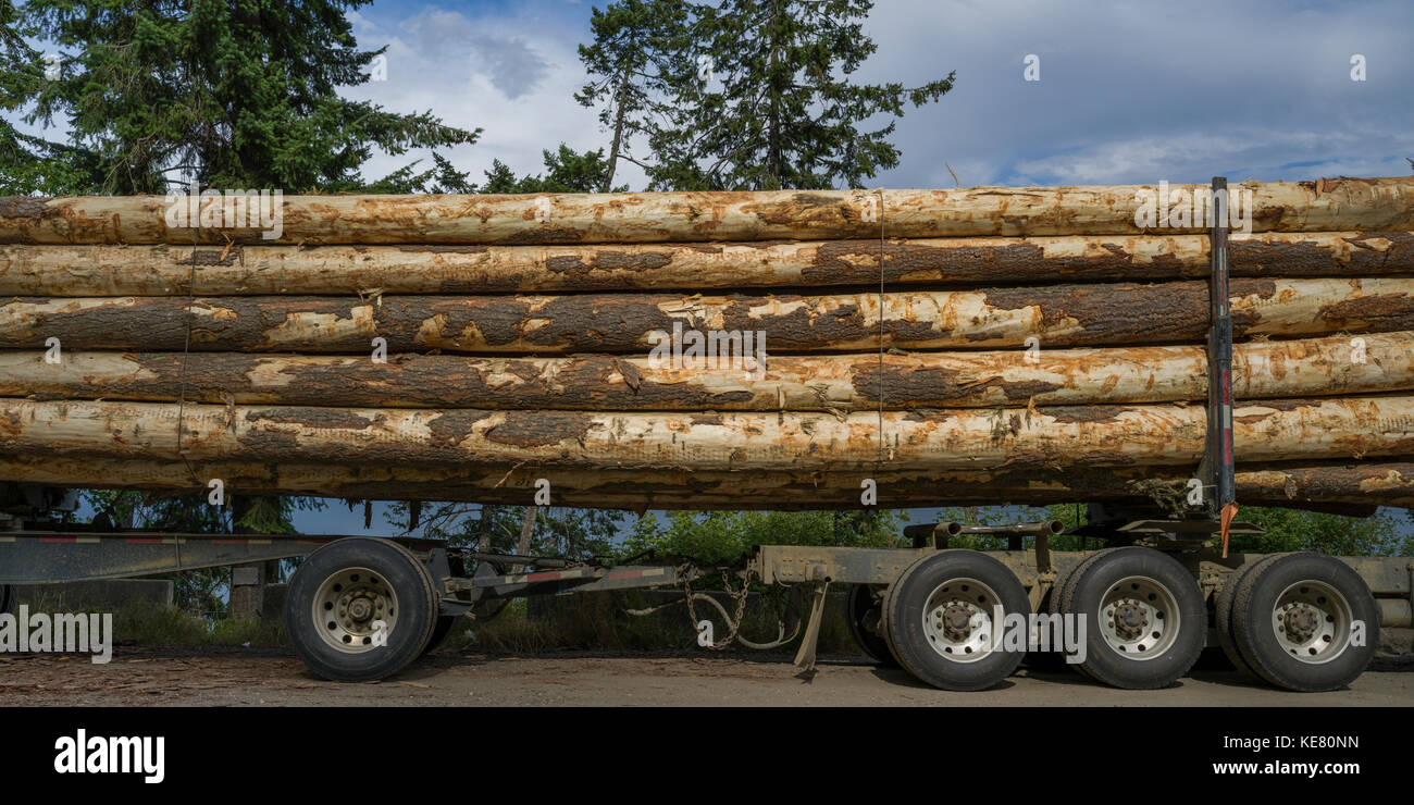 Große Stämme auf einen Lastwagen geladen; Riondel, British Columbia, Kanada Stockfoto