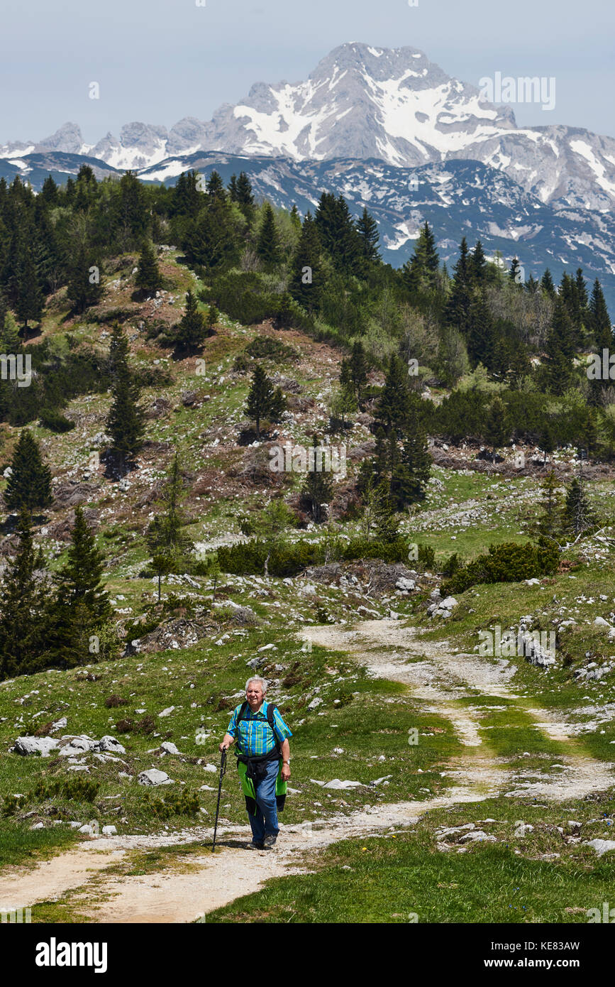 Ein älterer Mann Wanderungen auf einer Spur mit dem Kamnik - savinja Alpen in der Ferne; Slowenien Stockfoto