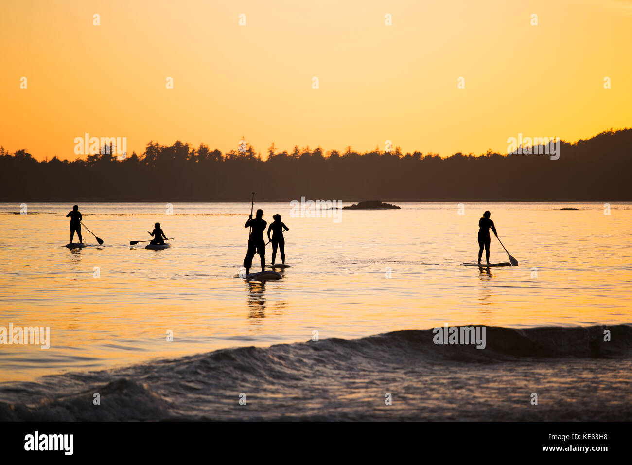 Fünf Frauen up Paddle Boarding auf dem Ozean in der Nähe von Tofino, auf Mackenzie Strand bei Sonnenuntergang; Tofino, Vancouver Island, British Columbia, Kanada Stand Stockfoto