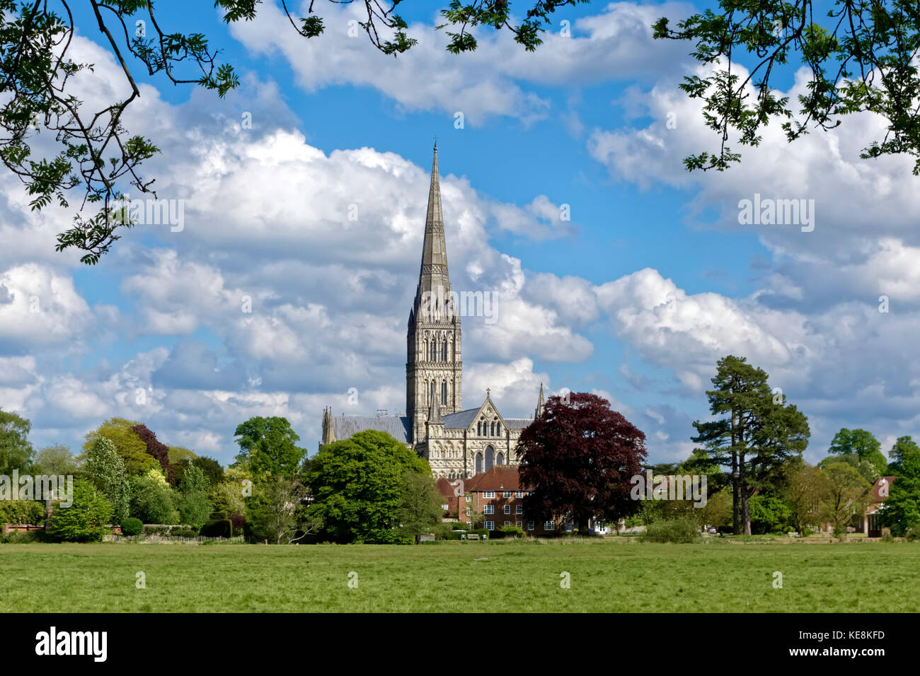 Salisbury, Wiltshire, Vereinigtes Königreich - 13. Mai 2017: Salisbury Cathedral, Wiltshire, Vereinigtes Königreich, von den Harnham Water Meadows aus gesehen. Stockfoto