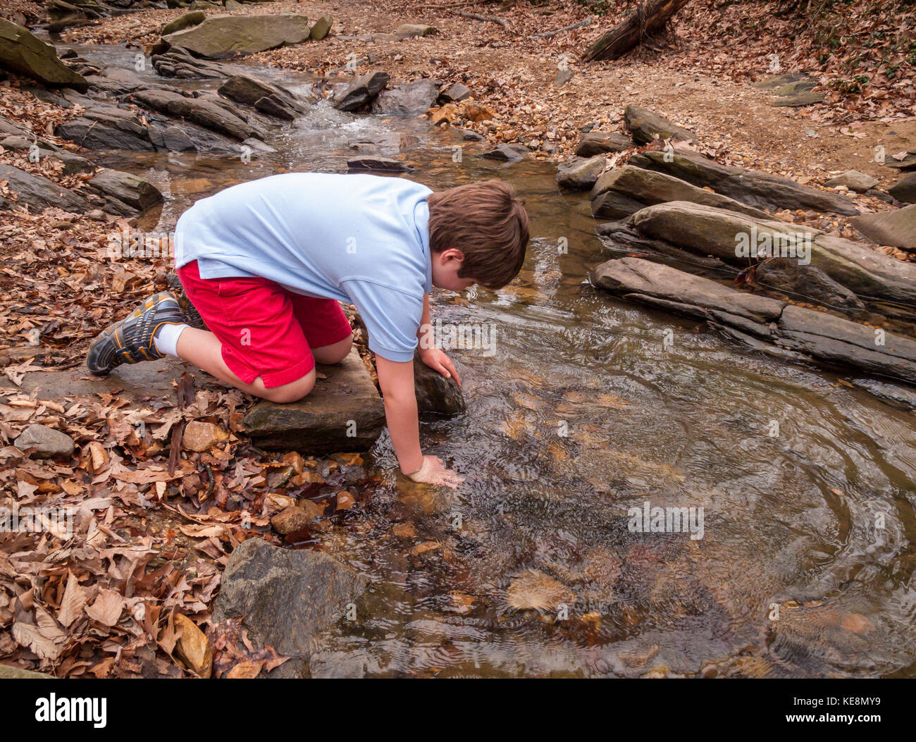 Virginia, USA-autistischen Jungen, 11 Jahre alt, berührt Wasser im Bach. Stockfoto