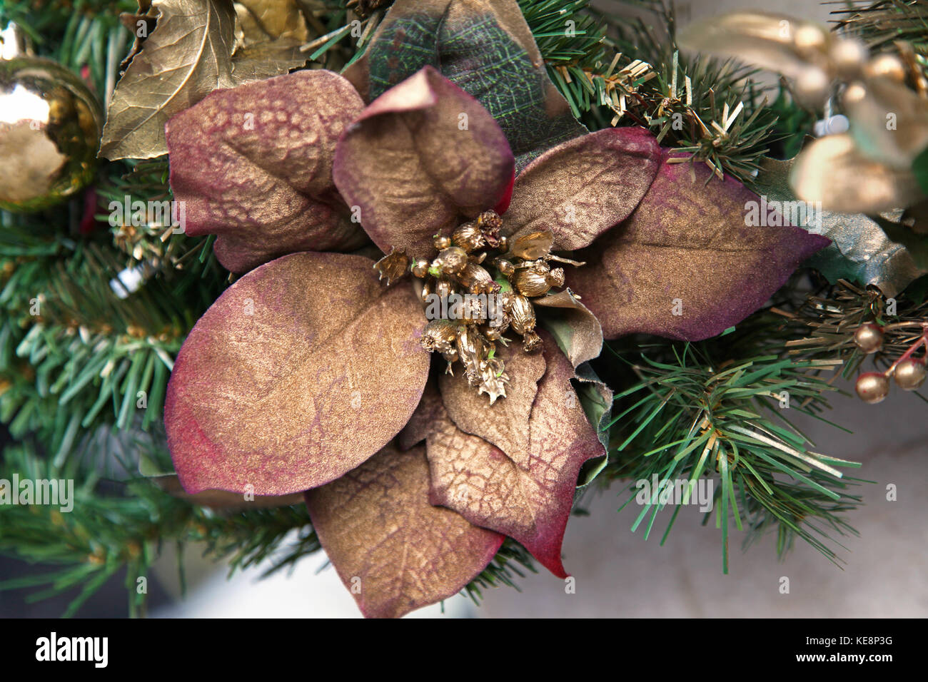 Trockene dekorative braun Blume in Pine Tree Stockfoto