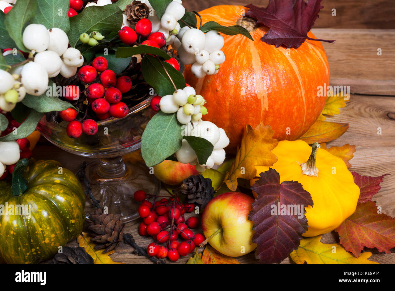 Thanksgiving oder Herbst Hintergrund mit snowberry und Rowan, Kürbis, bunte Blätter, Kegel Stockfoto