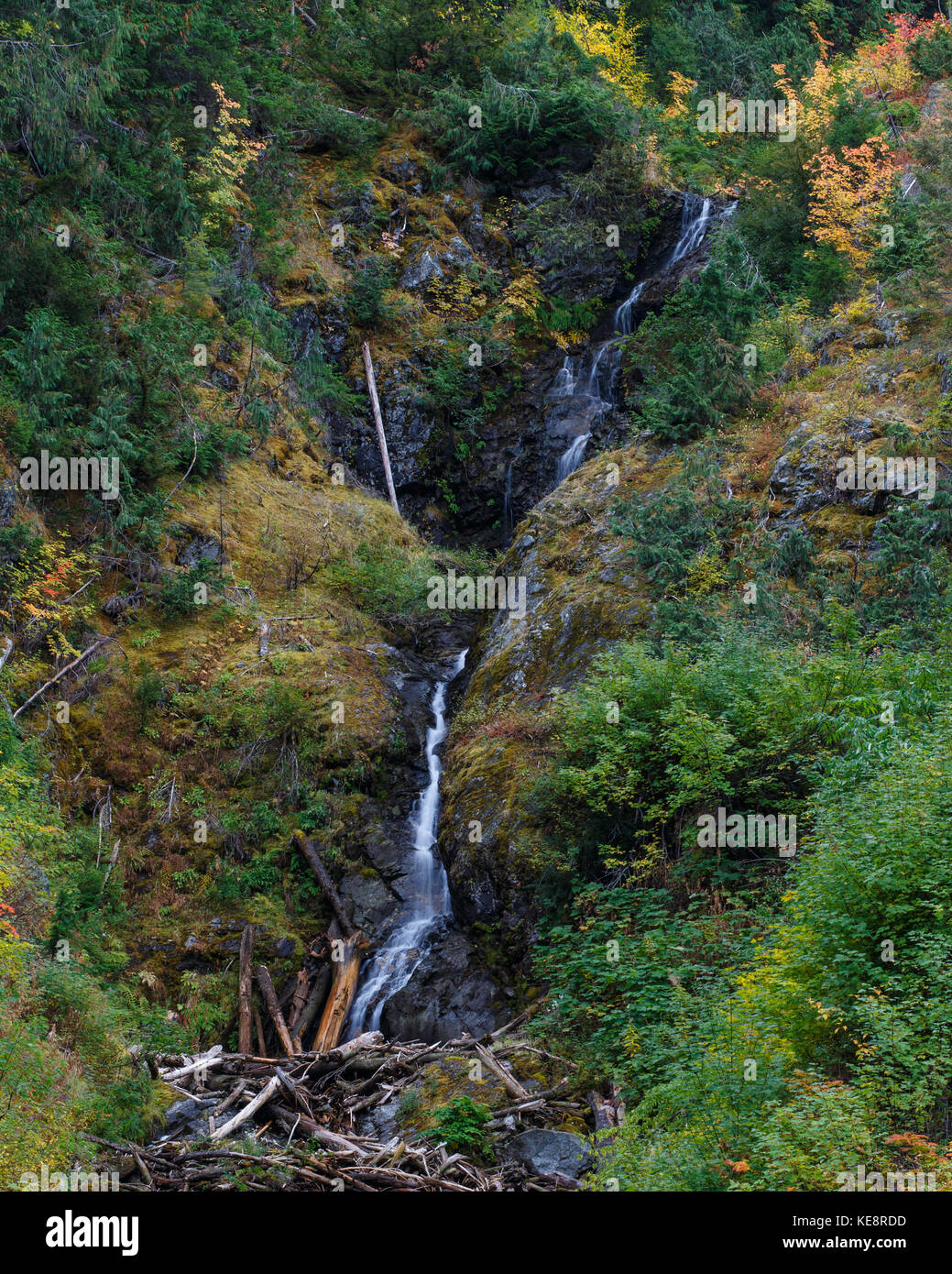 Natürliche Garten mit Wasserfall, die durch einen bunten Herbst Szene. Stockfoto