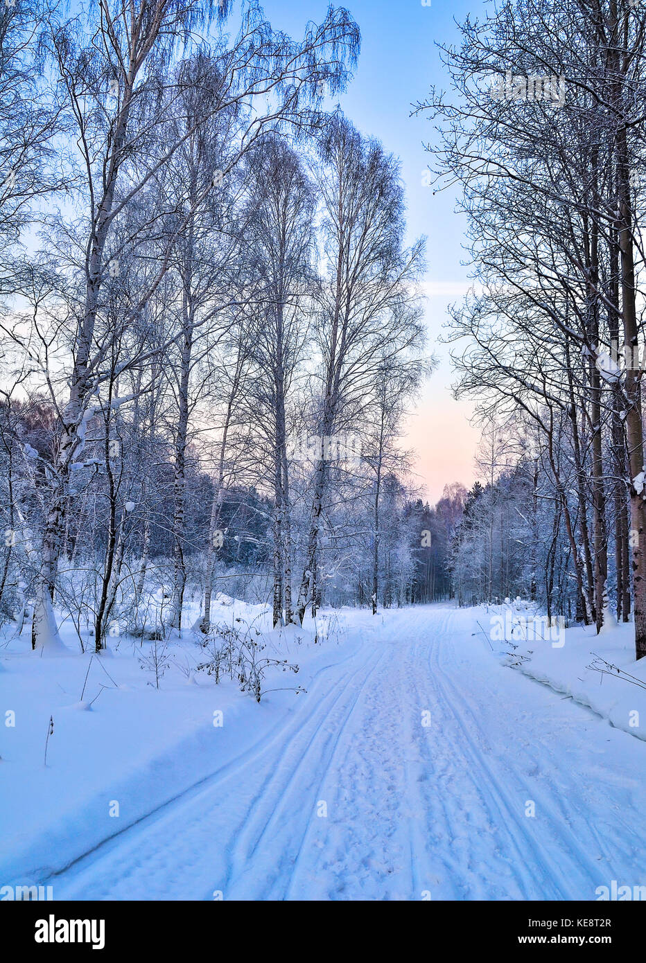 Sanfter Winter rosa Morgen auf einem verschneiten Wald Straße mit Fußspuren und Ski auf dem Schnee geht in die Ferne - Schöne weiche Farben des Winters Stockfoto