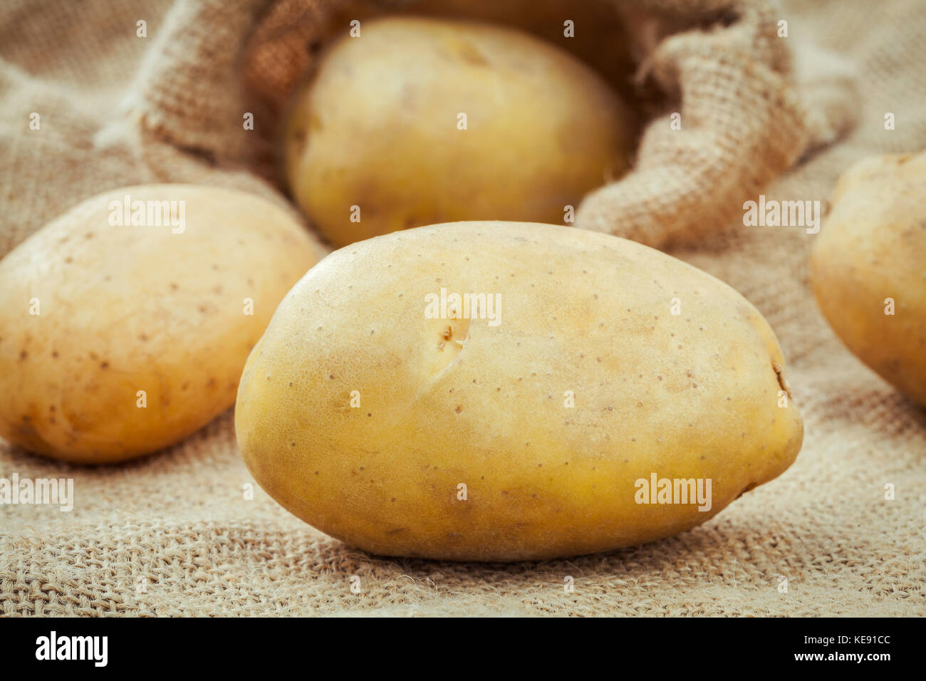 Closeup frische organische Kartoffeln auf Hanf sack Hintergrund. Frisch geerntete Kartoffeln auf Hanf sack Hintergrund mit selektiven Fokus flache Tiefenschärfe. Stockfoto