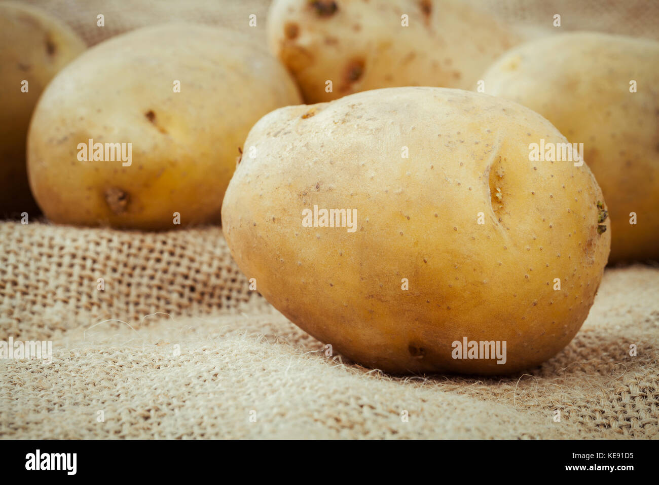 Closeup frische organische Kartoffeln auf Hanf sack Hintergrund. Zeile Biokartoffeln auf alten Holz- Hintergrund. Stockfoto