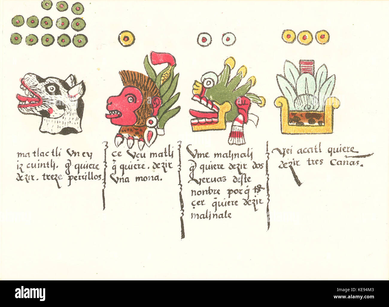 Codex Magliabechiana (Folio 12v) Stockfoto