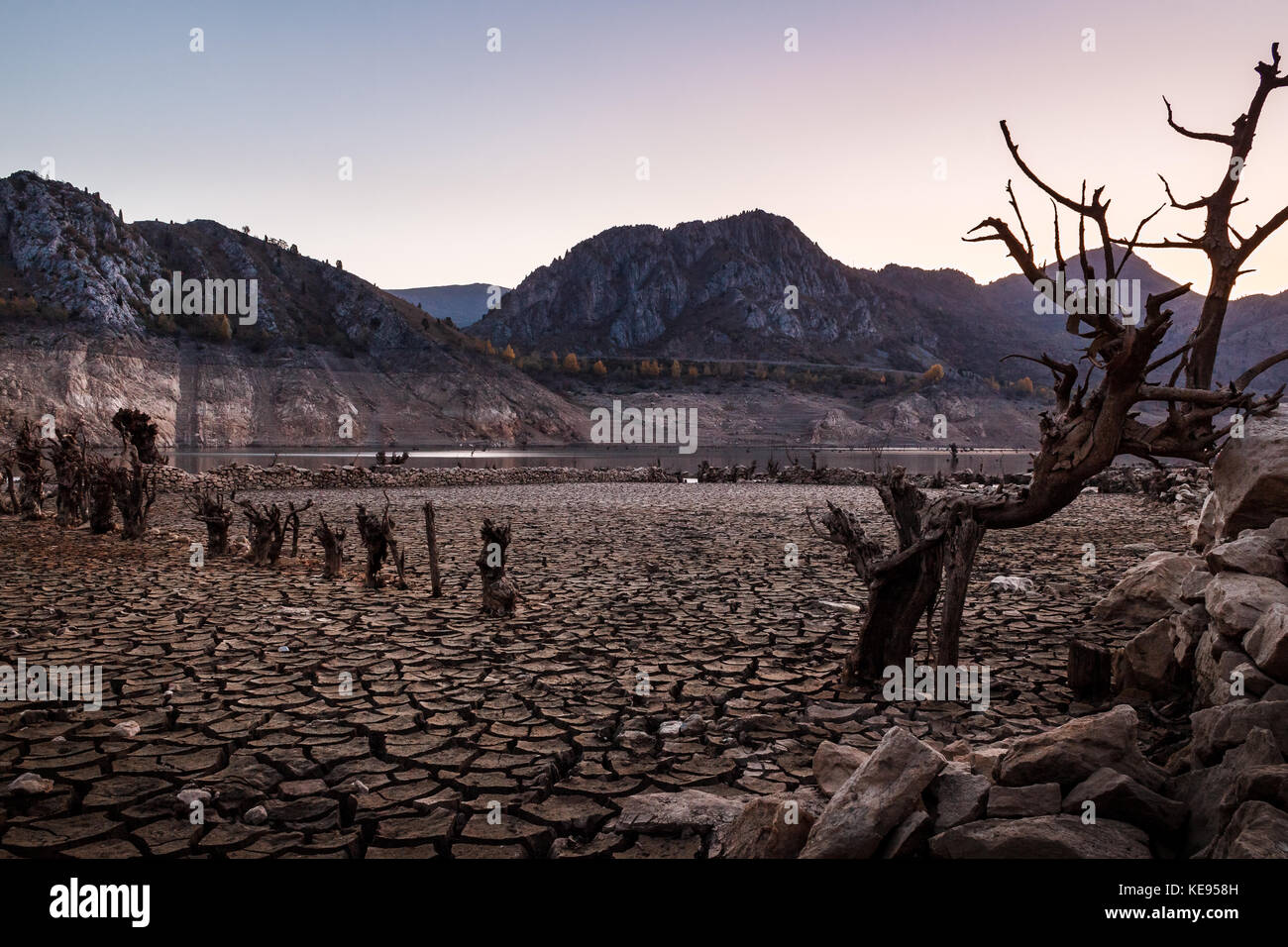 Darstellung der Dürre im Norden Spaniens, mit einem trockenen Behälter in der Nähe von Leon, mit einer schockierenden Risse im Boden und tote Bäume zuvor mit Wasser bedeckt. Stockfoto