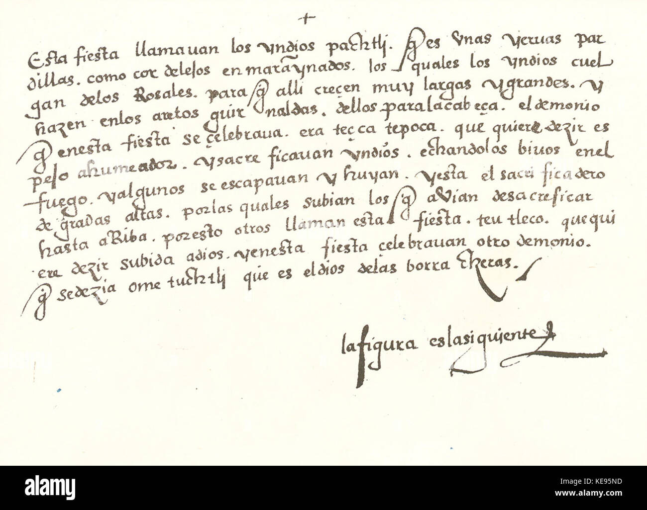 Codex Magliabechiana (Folio 39v) Stockfoto