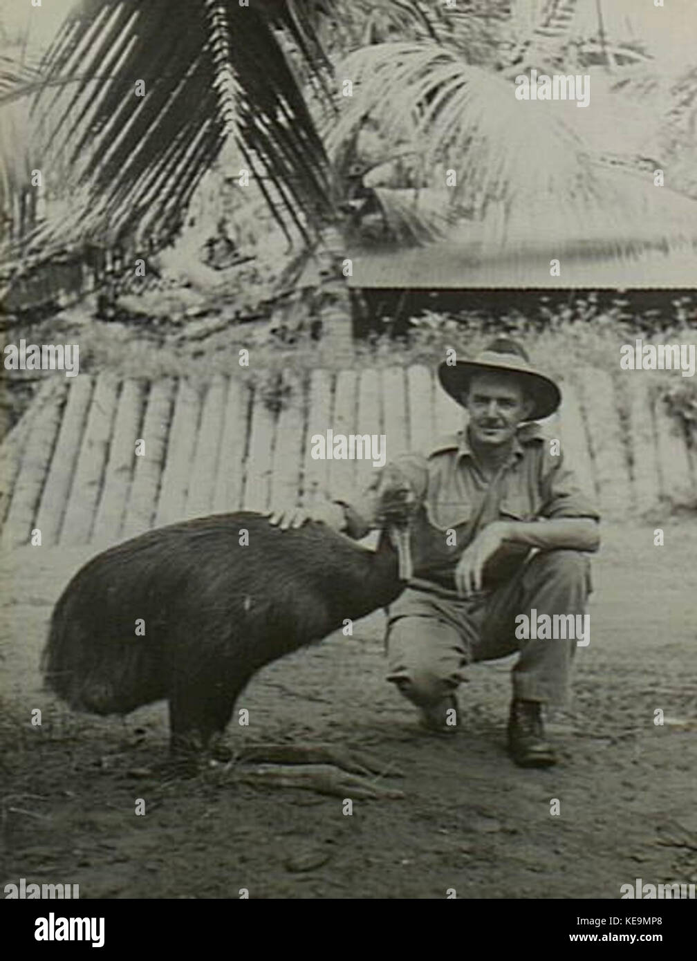 Oscar die Cassowary mit Lieutenant John Perry Stockfoto