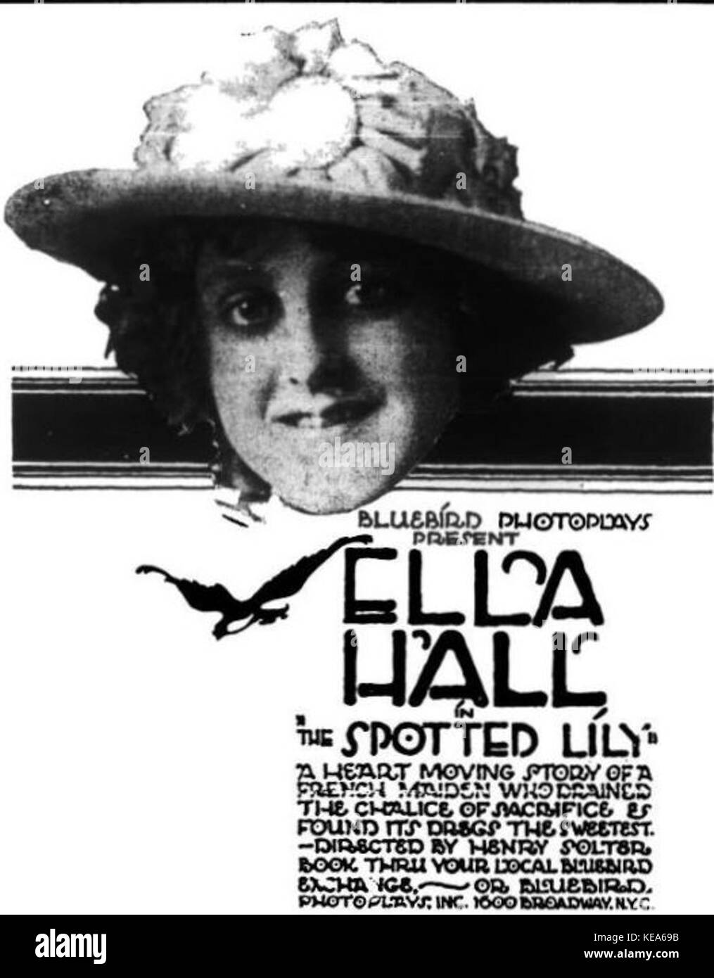 Der gefleckte Lily (1917) 2. Stockfoto