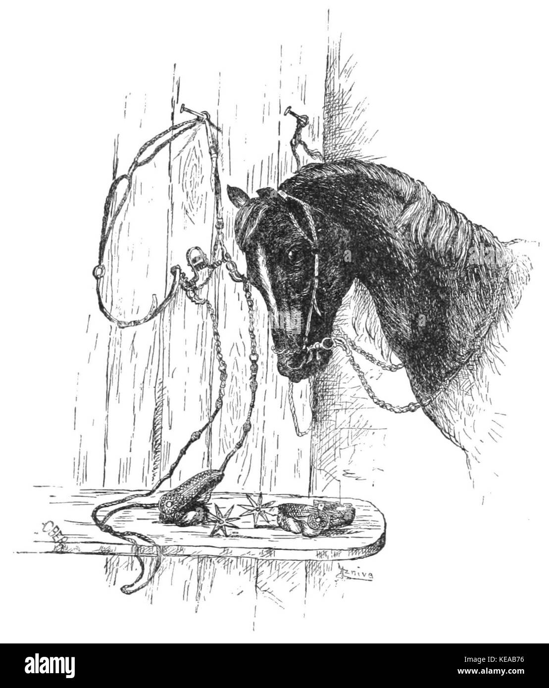 TLM D 577 mexikanische Bit, Zügel und Sporen Stockfoto