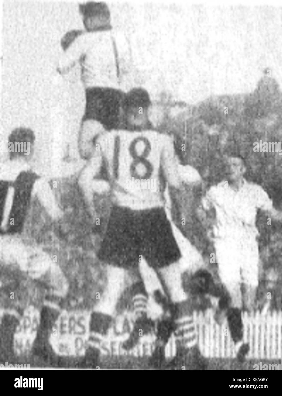 Laurie Nash 1937 Stockfoto