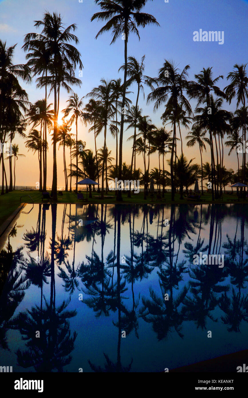 Wadduwa westliche Provinz Sri Lanka Blue Water Hotel Palmen Reflexion im Pool Stockfoto