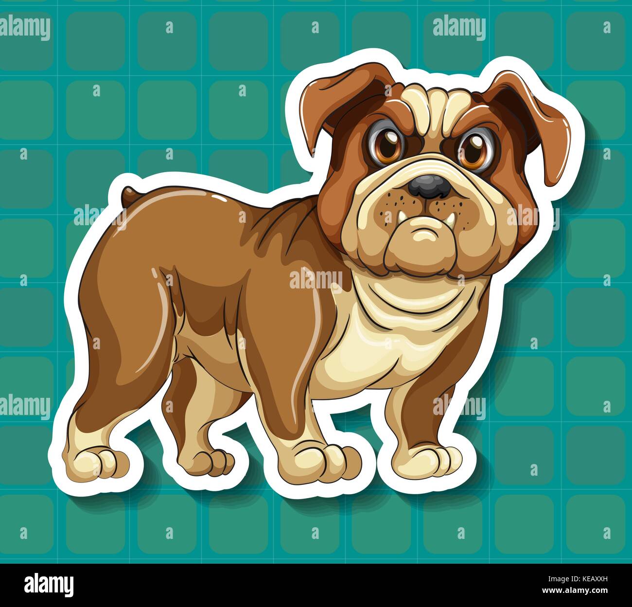 Closeup Bulldog mit blauem Hintergrund Stock Vektor