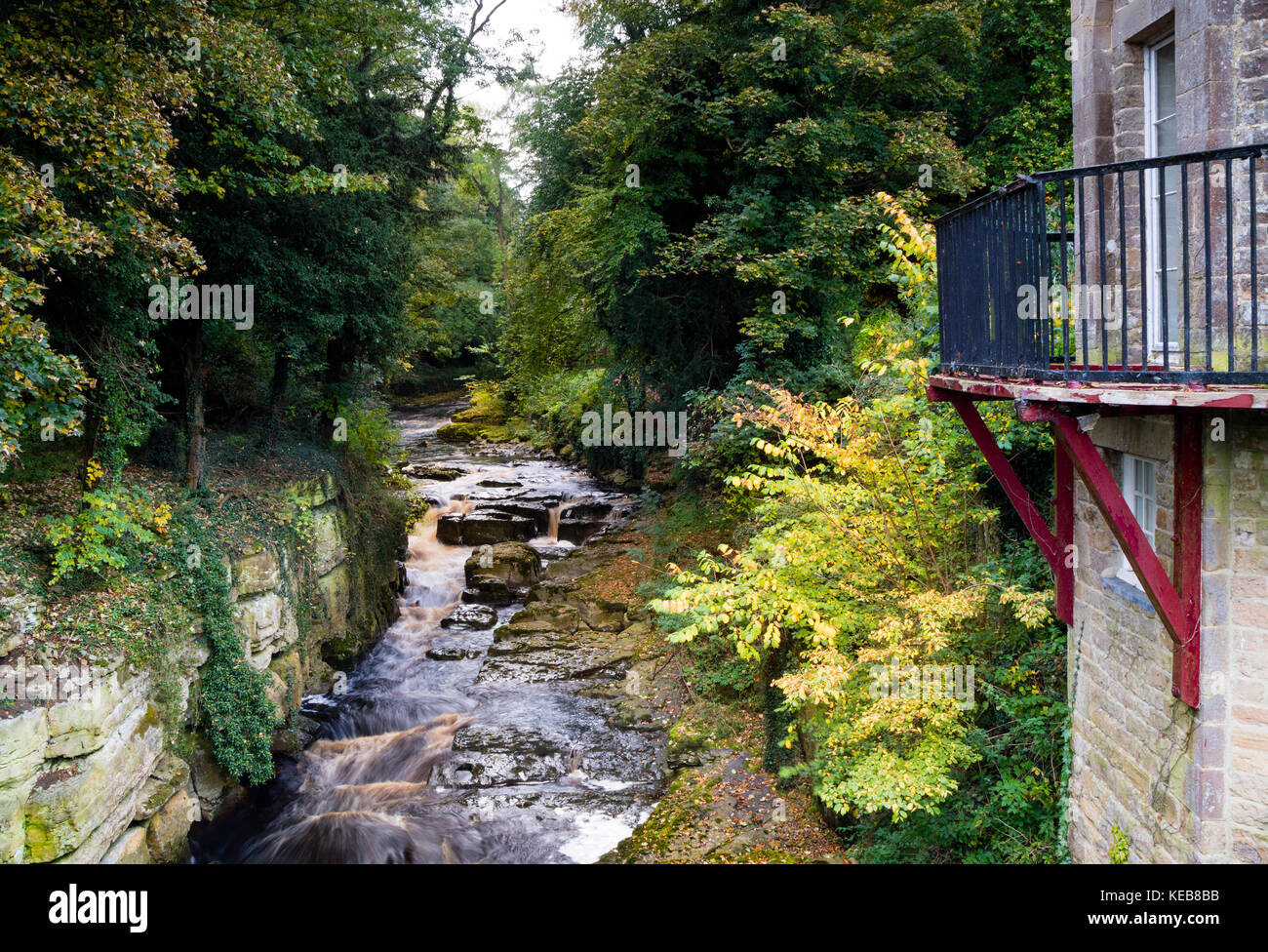 Der Fluss Greta von der Molkerei Brücke im Herbst, Rokeby, Teesdale, County Durham, UK Stockfoto