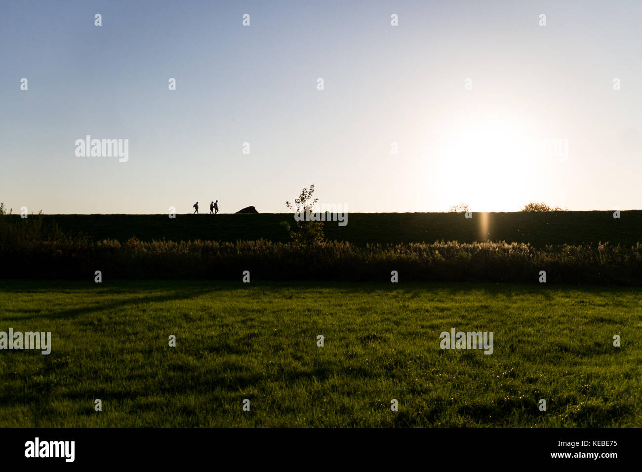 Moody geschossen von einem Deich, in der Nähe der Elbe bei Sonnenuntergang in Niedersachsen Stockfoto