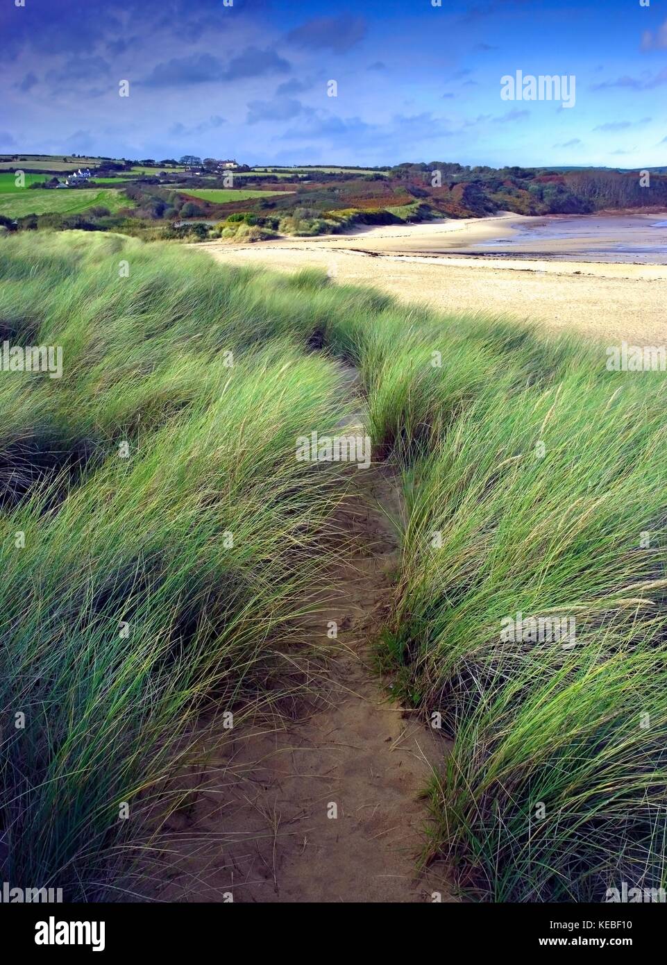Ein Blick auf den Strand und den Sanddünen bei lligwy Bucht, auf der Insel Anglesey, Wales Stockfoto